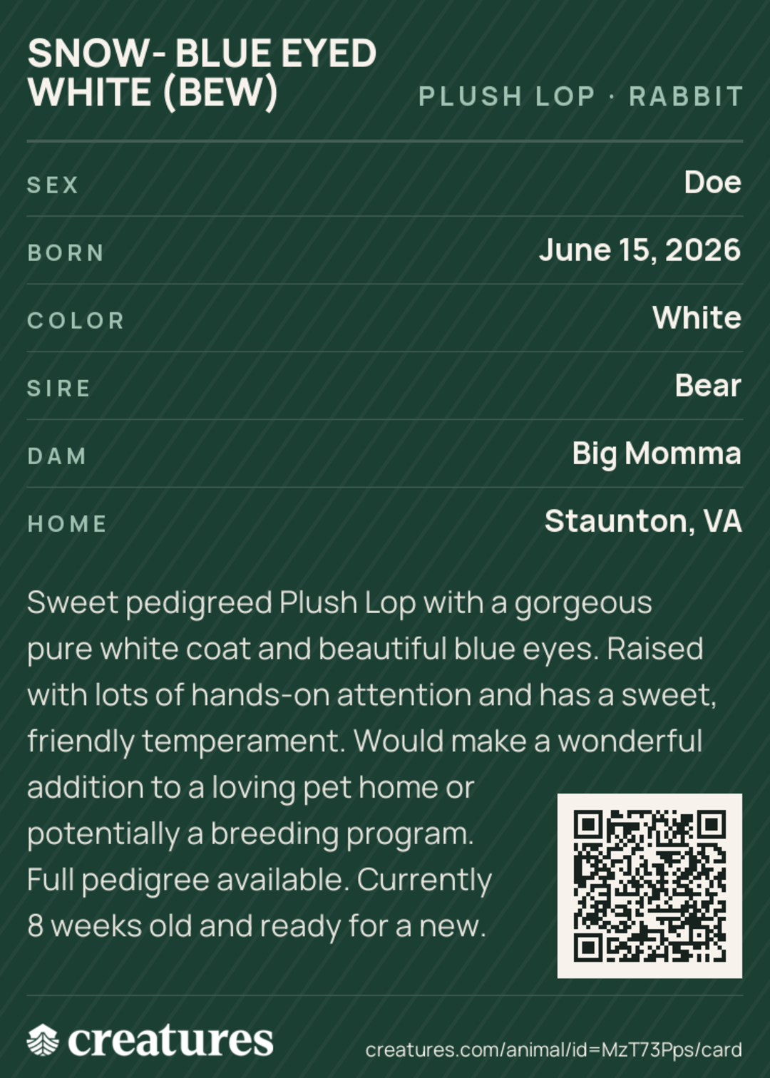 Snow- Blue Eyed White (BEW) Creature Card back