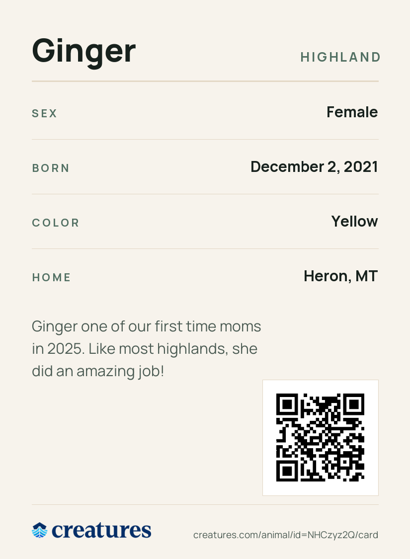 Ginger Creature Card back