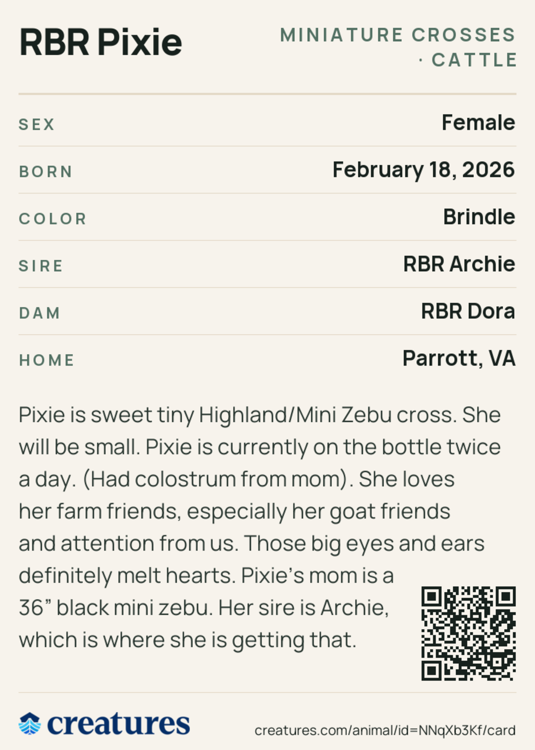 RBR Pixie Creature Card back