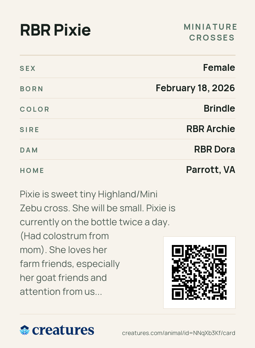 RBR Pixie Creature Card back