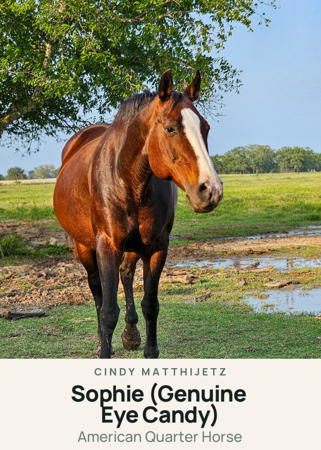 Sophie (Genuine Eye Candy) Creature Card