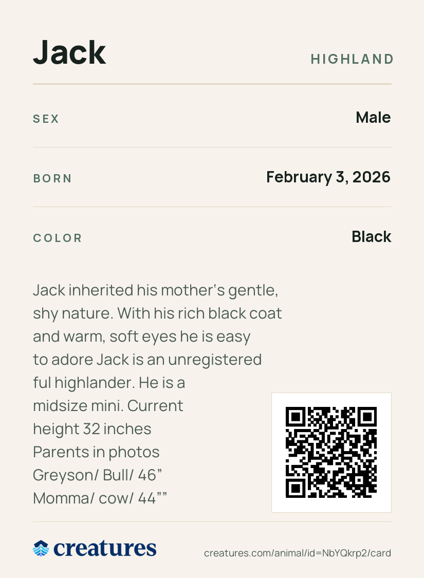 Jack Creature Card back