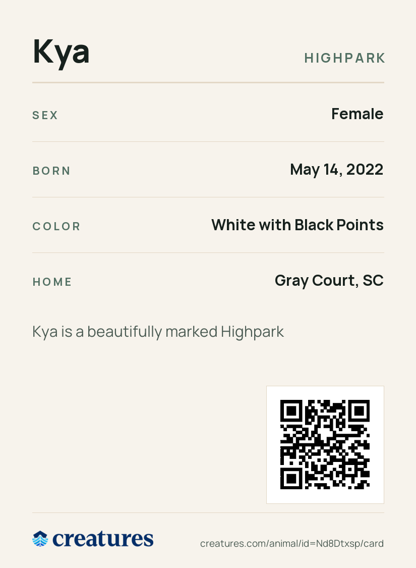 Kya Creature Card back