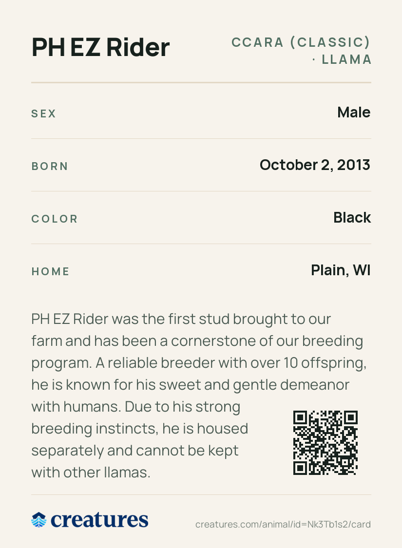 PH EZ Rider Creature Card back