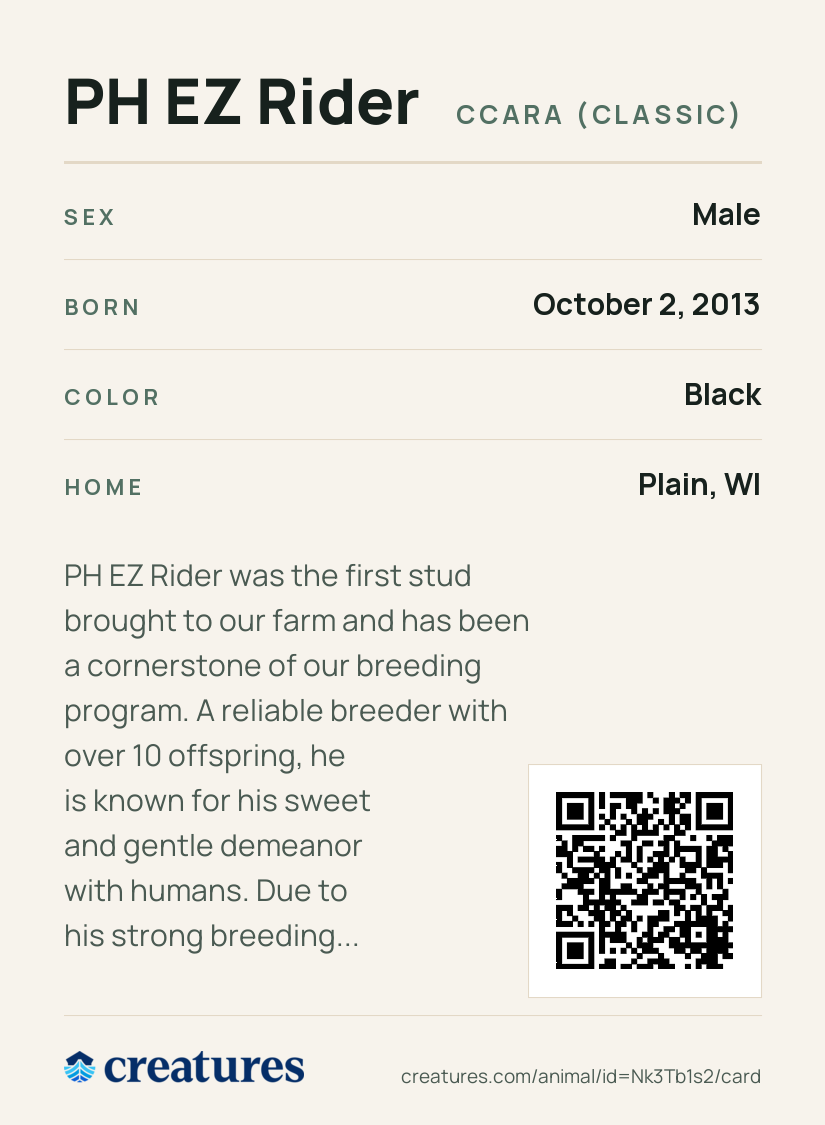 PH EZ Rider Creature Card back