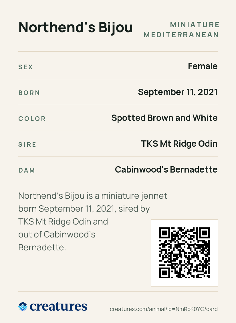Northend's Bijou Creature Card back