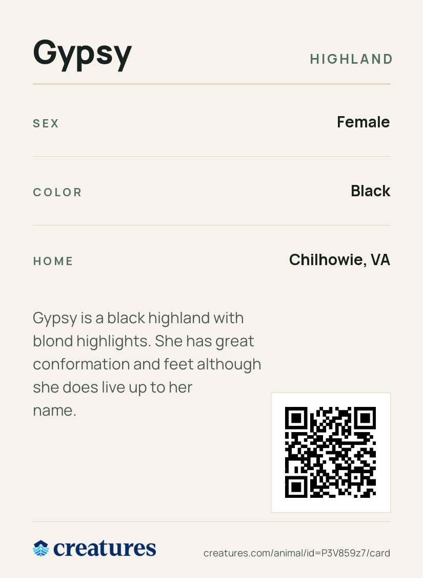 Gypsy Creature Card back