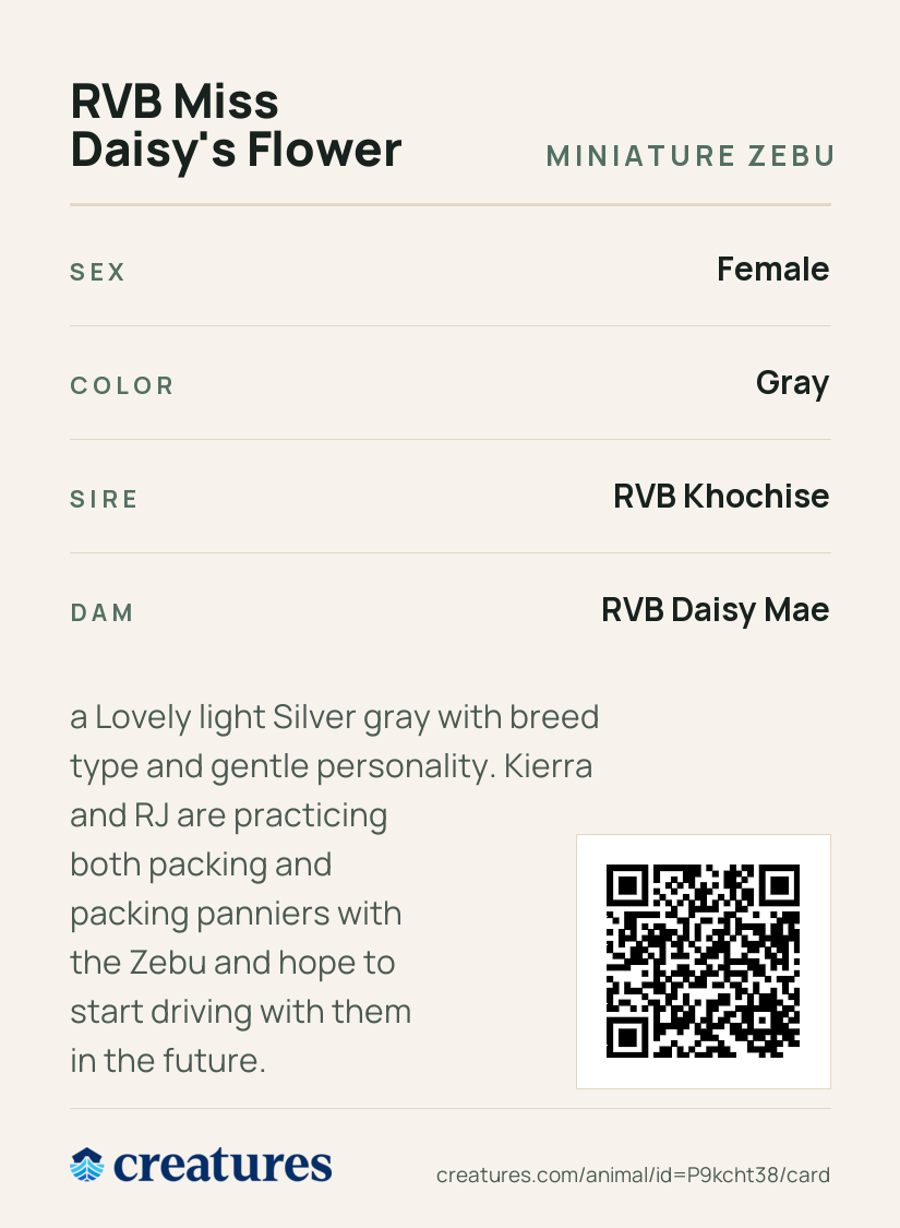 RVB Miss Daisy's Flower Creature Card back