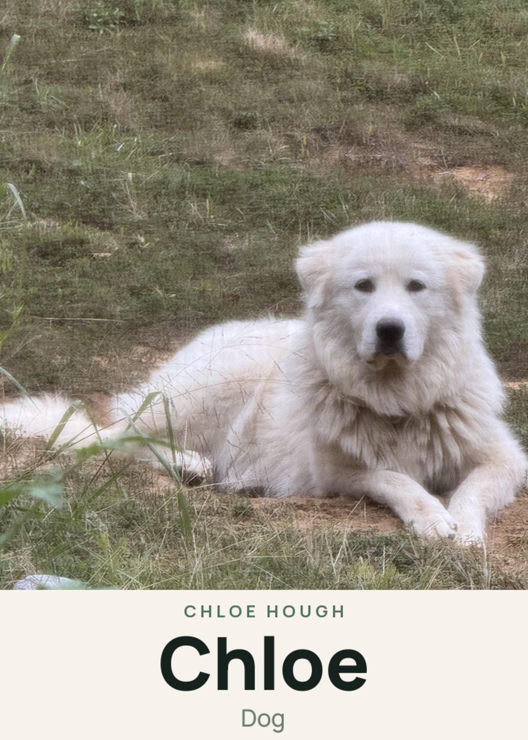 Chloe Creature Card