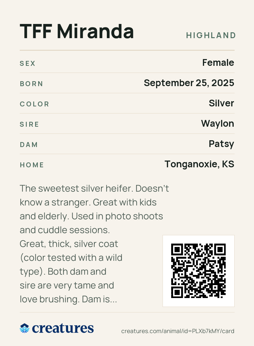 TFF Miranda Creature Card back