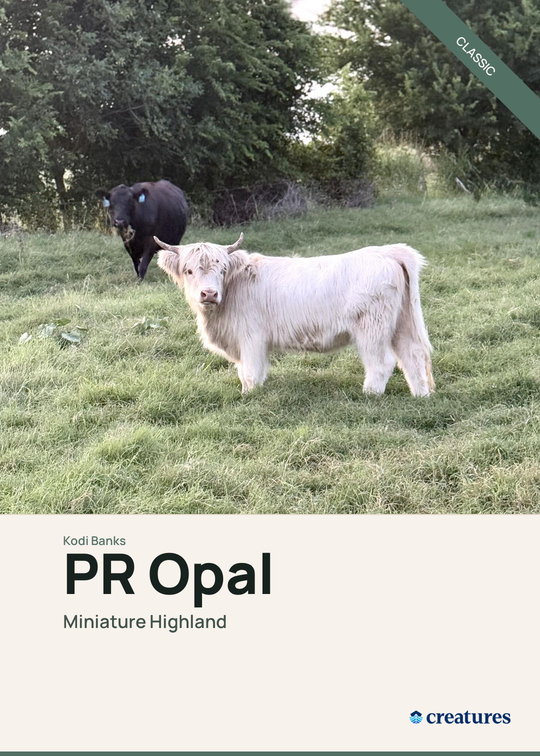 PR Opal Creature Card
