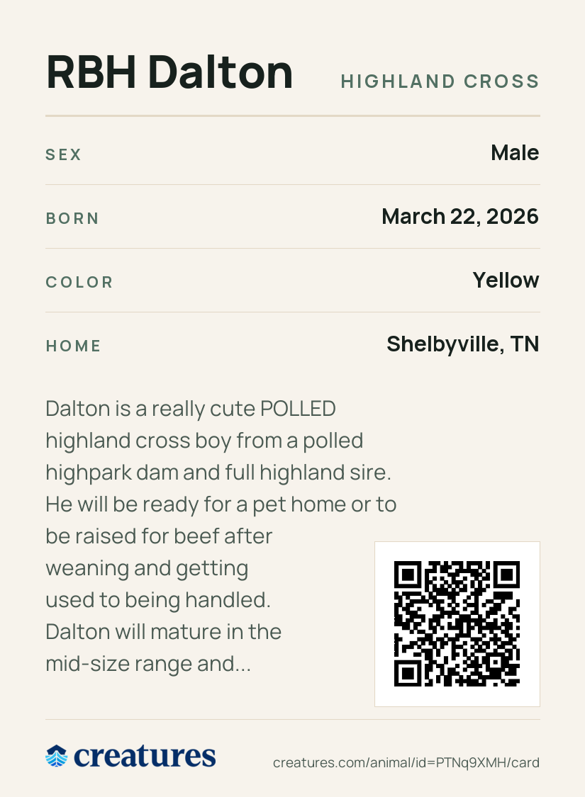 RBH Dalton Creature Card back