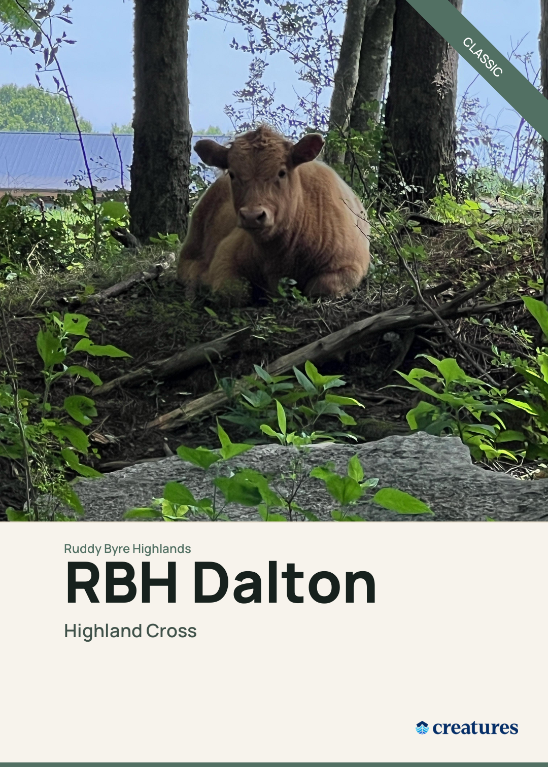 RBH Dalton Creature Card