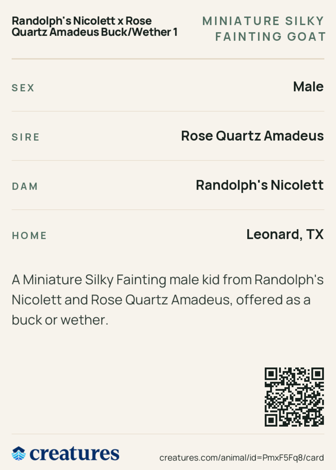 Randolph's Nicolett x Rose Quartz Amadeus Buck/Wether 1 Creature Card back