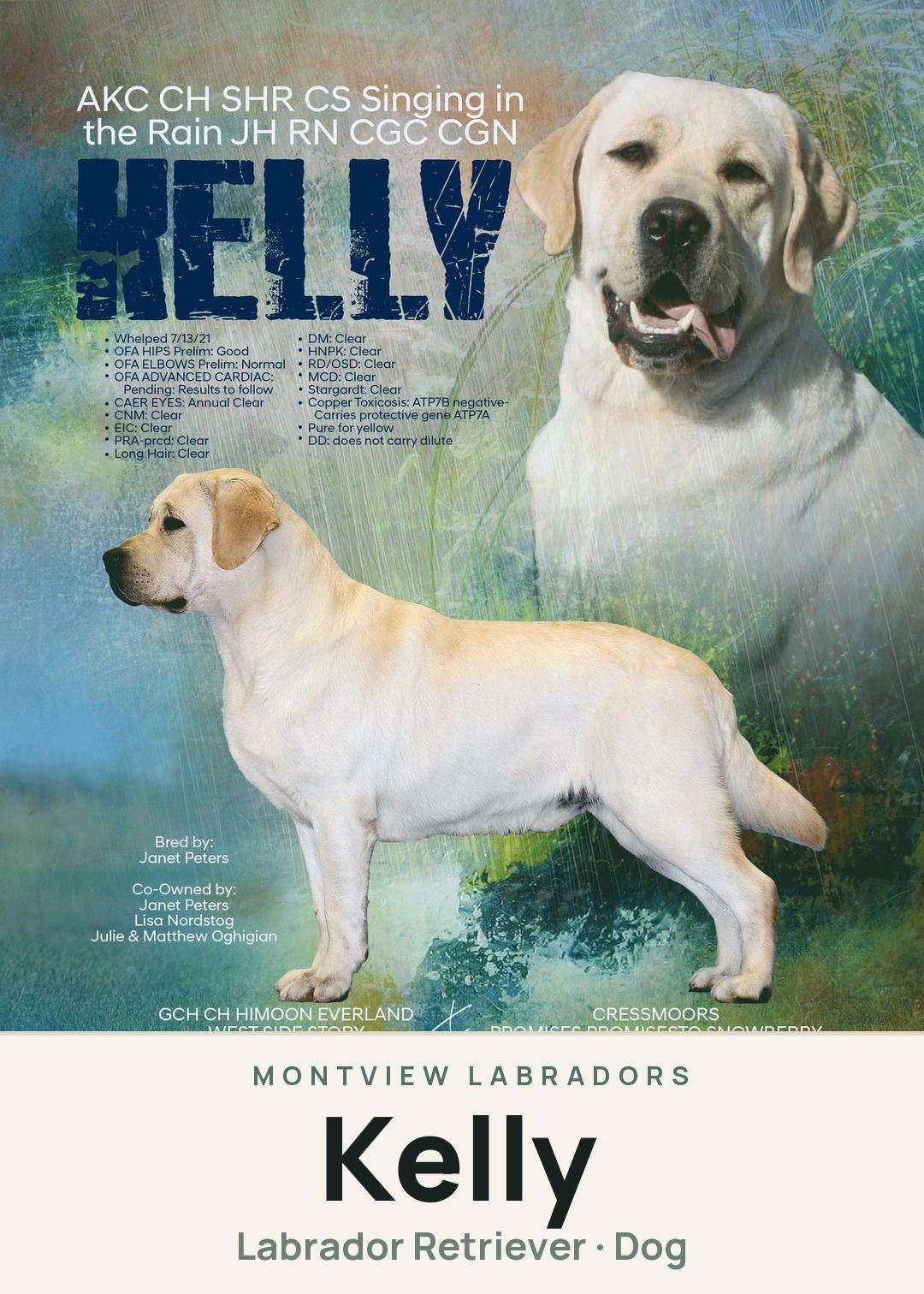 Kelly Creature Card