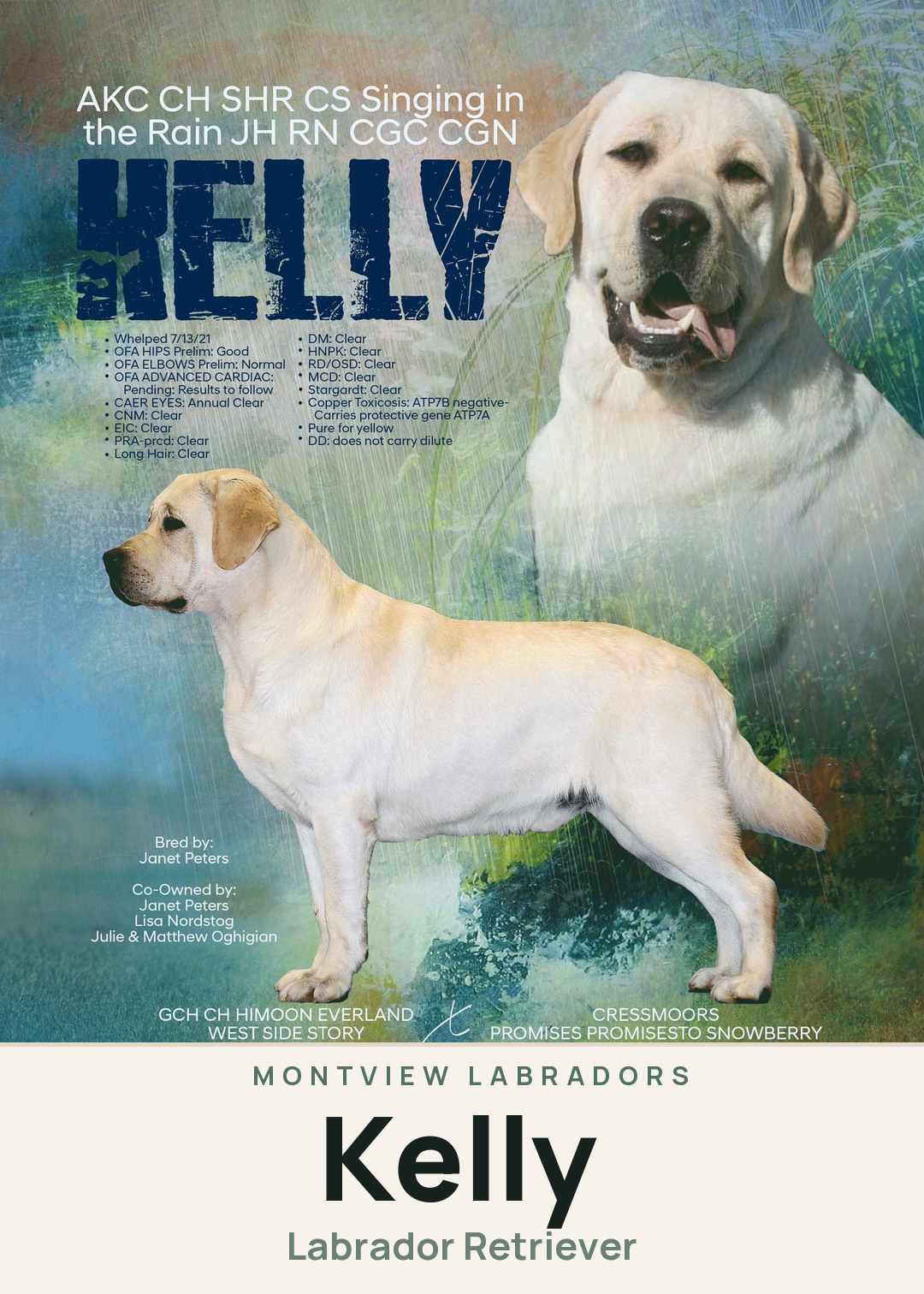 Kelly Creature Card