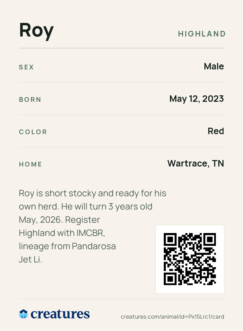 Roy Creature Card back