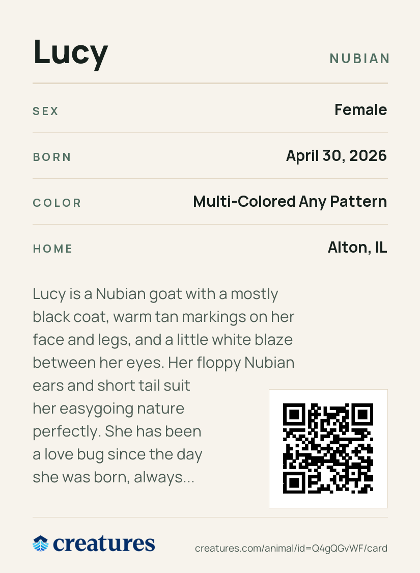 Lucy Creature Card back