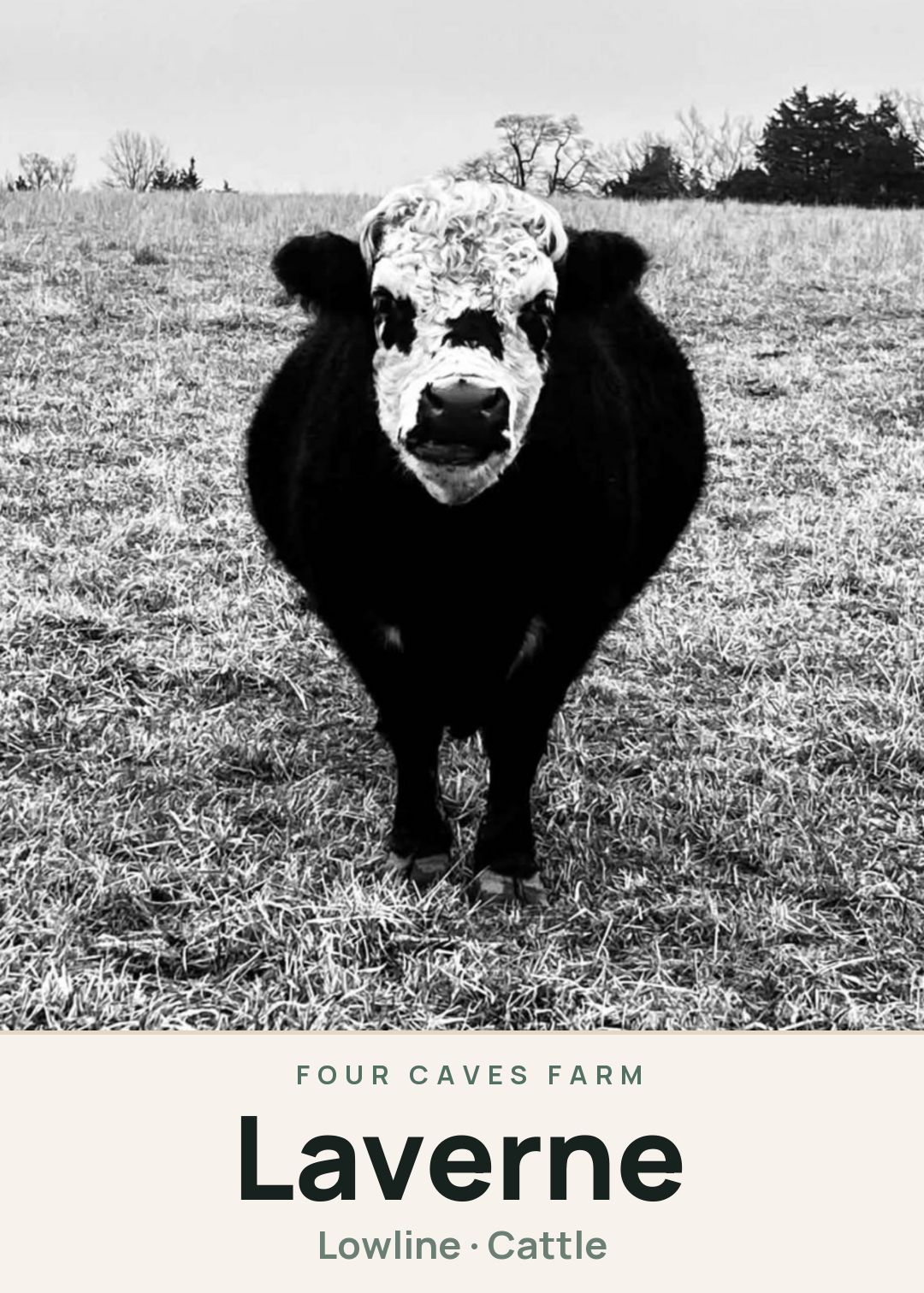 Laverne Creature Card