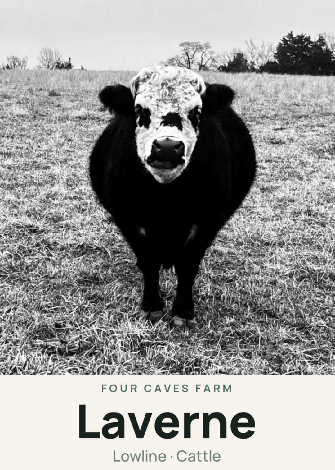 Laverne Creature Card