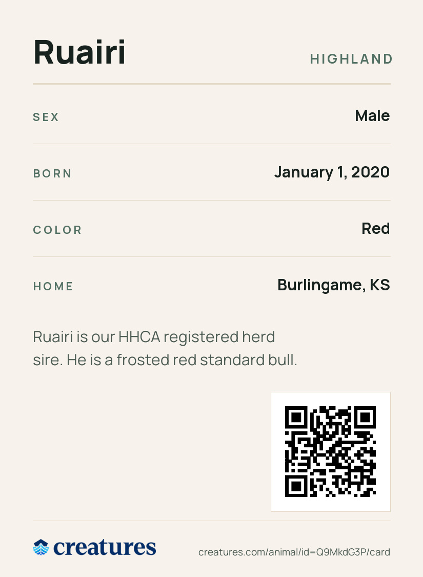 Ruairi Creature Card back