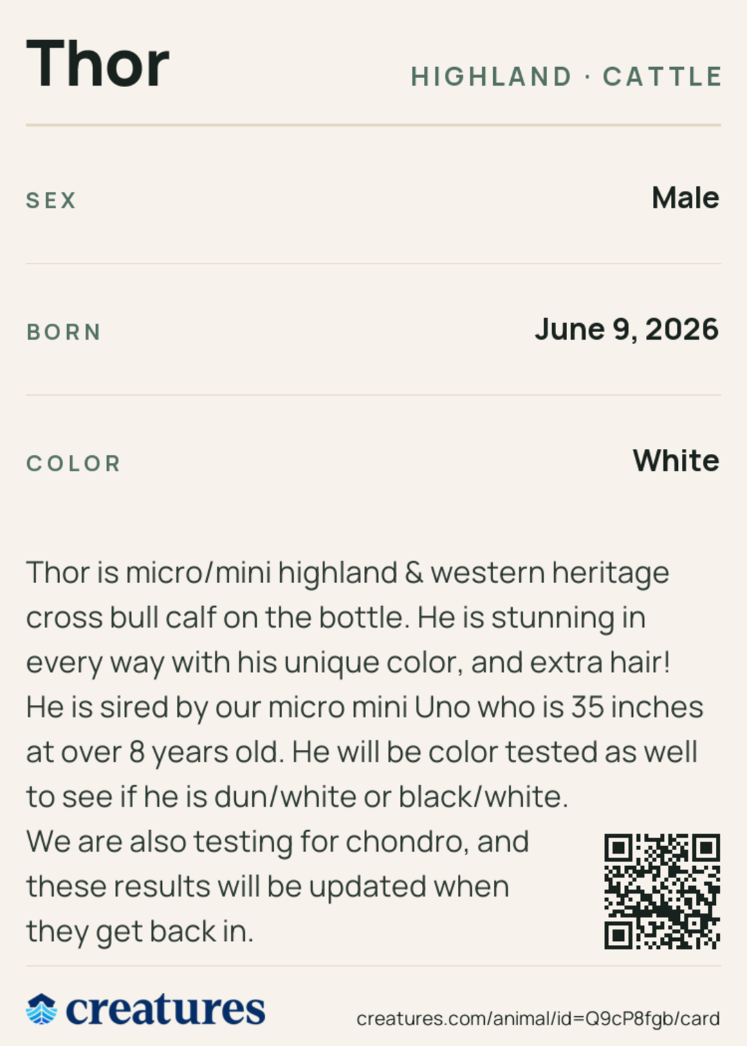 Thor Creature Card back