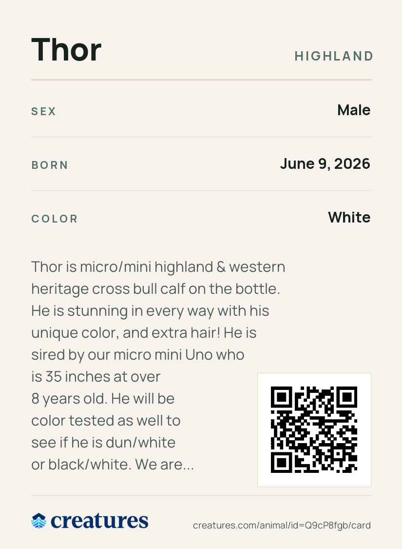 Thor Creature Card back