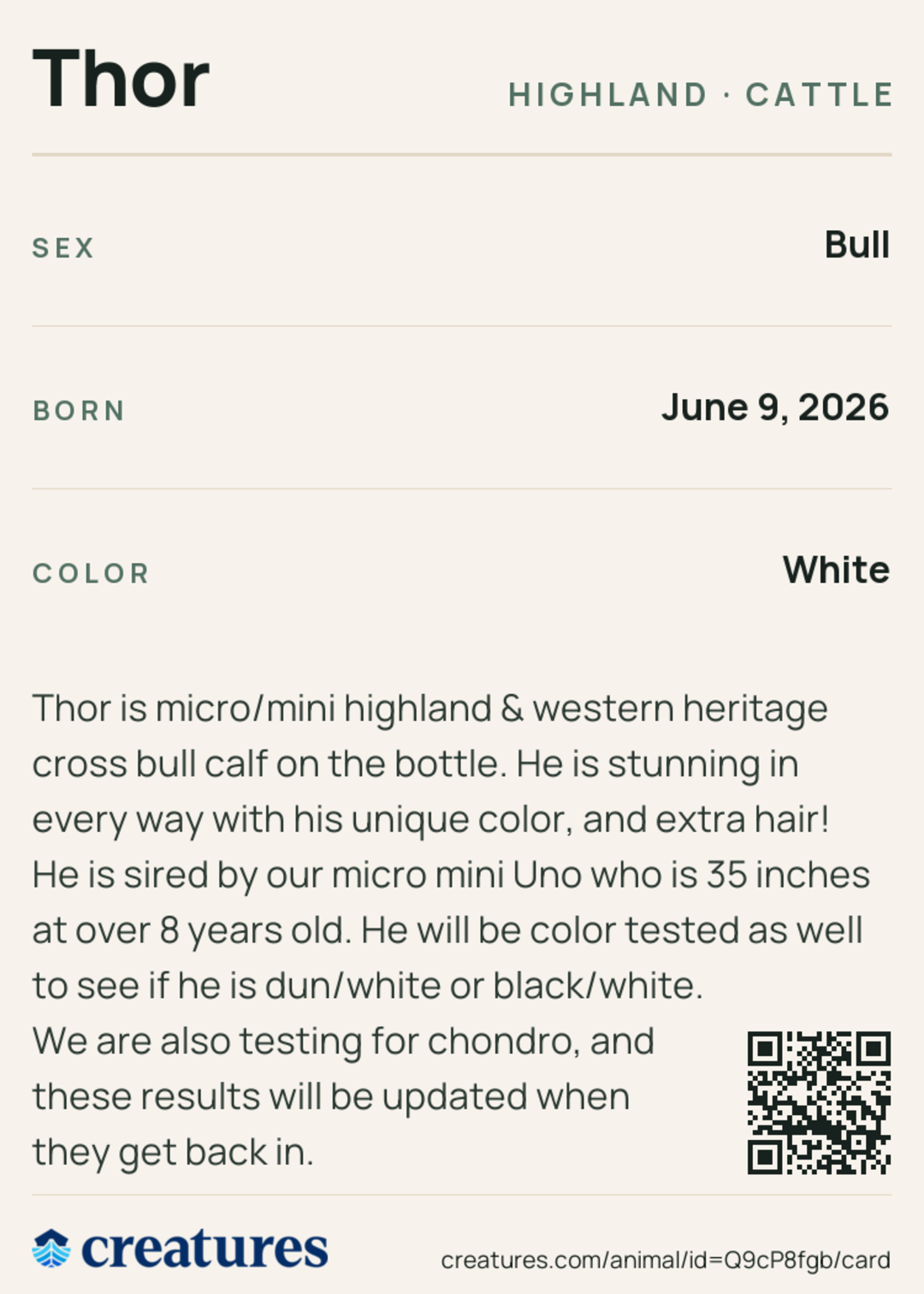 Thor Creature Card back