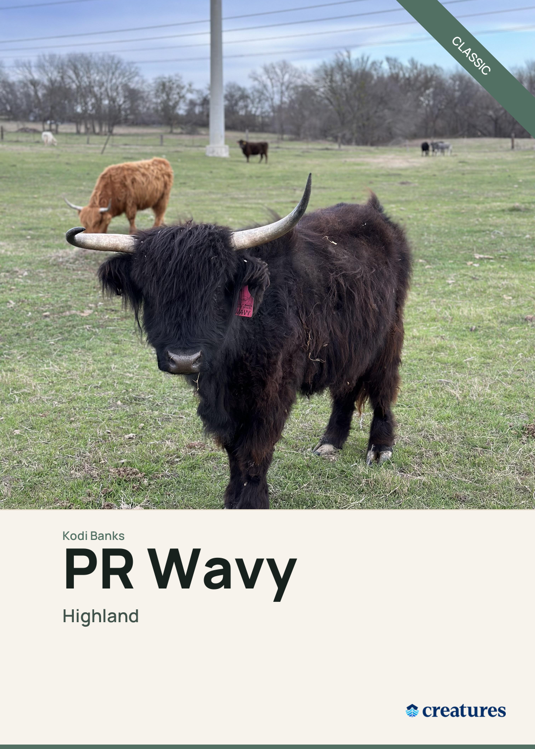 PR Wavy Creature Card