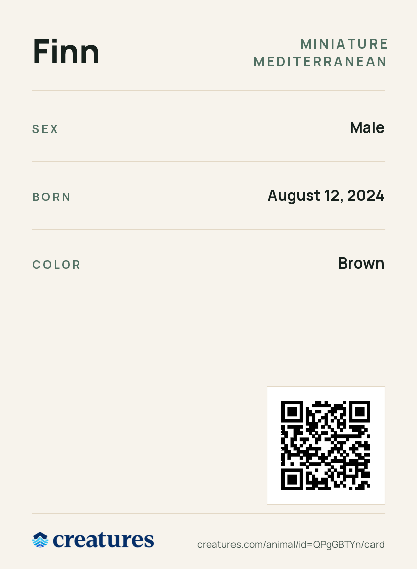 Finn Creature Card back