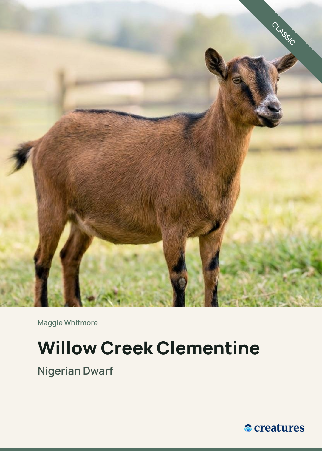 Willow Creek Clementine Creature Card