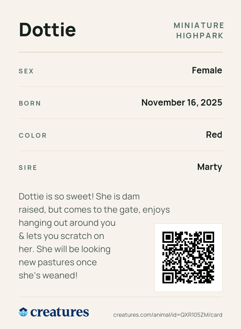 Dottie Creature Card back