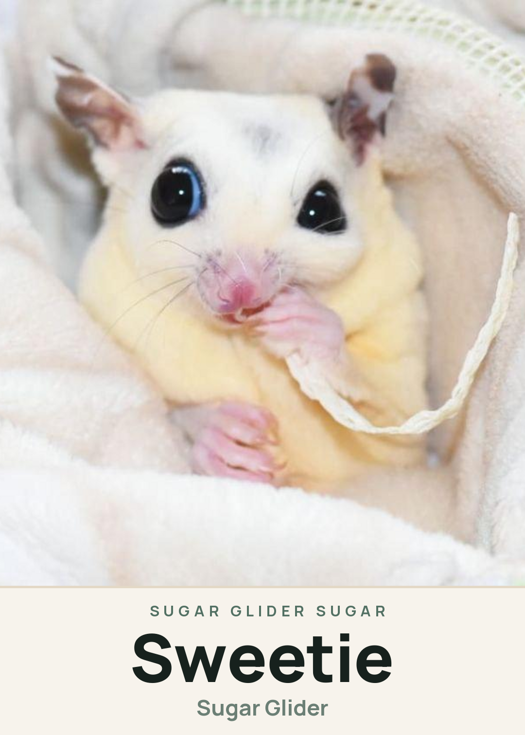 Sweetie Creature Card