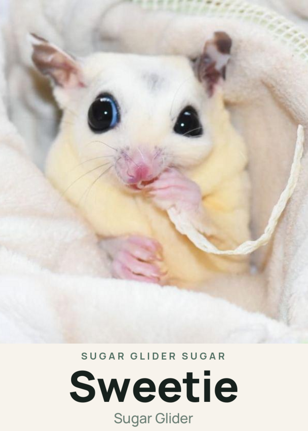 Sweetie Creature Card