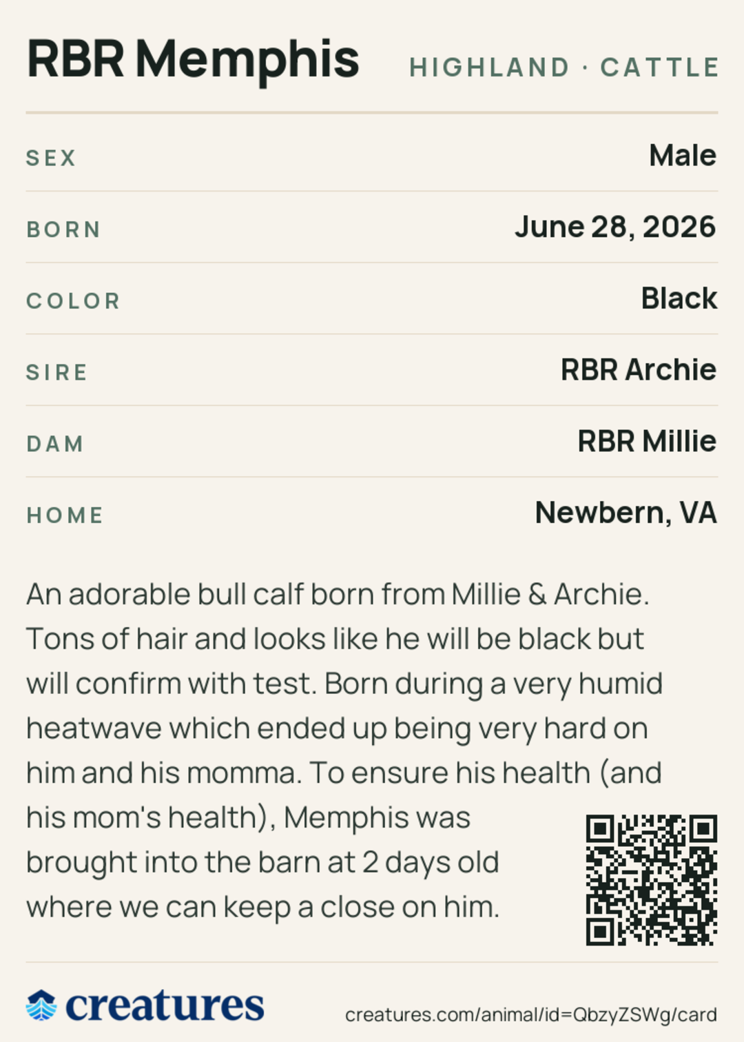 RBR Memphis Creature Card back
