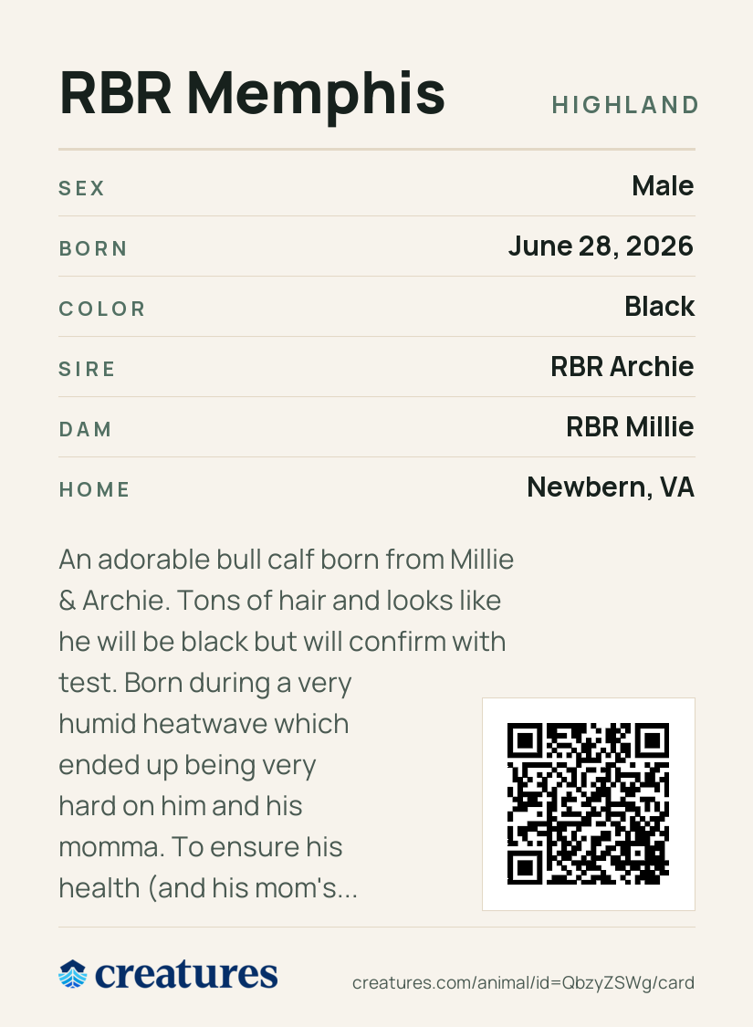 RBR Memphis Creature Card back