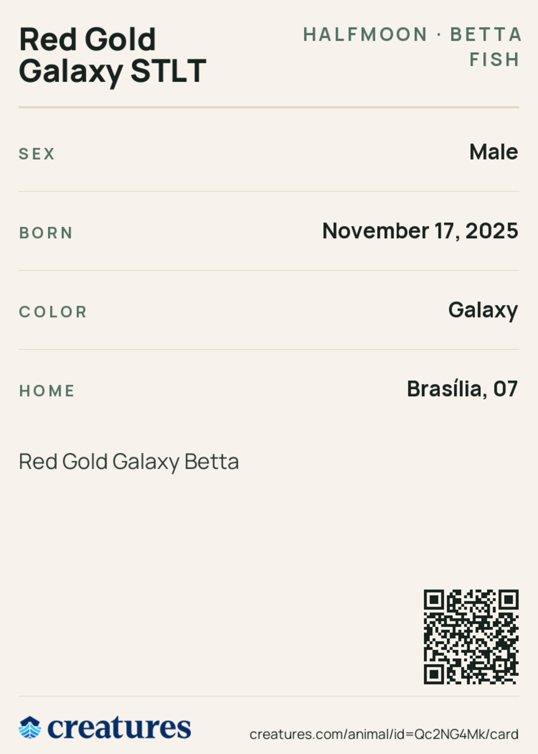 Red Gold Galaxy STLT Creature Card back