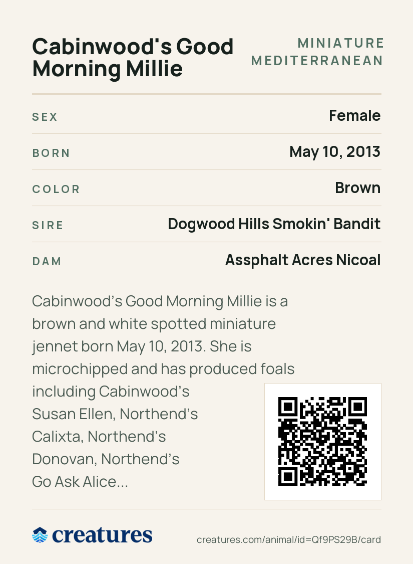 Cabinwood's Good Morning Millie Creature Card back
