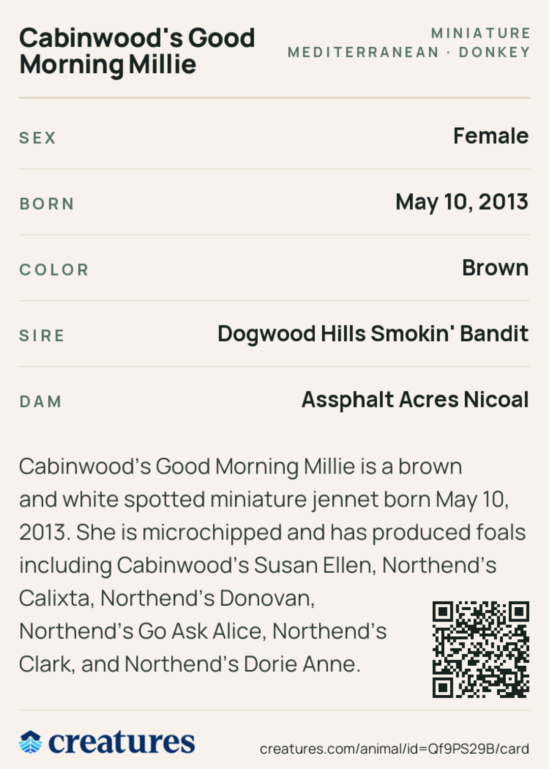 Cabinwood's Good Morning Millie Creature Card back