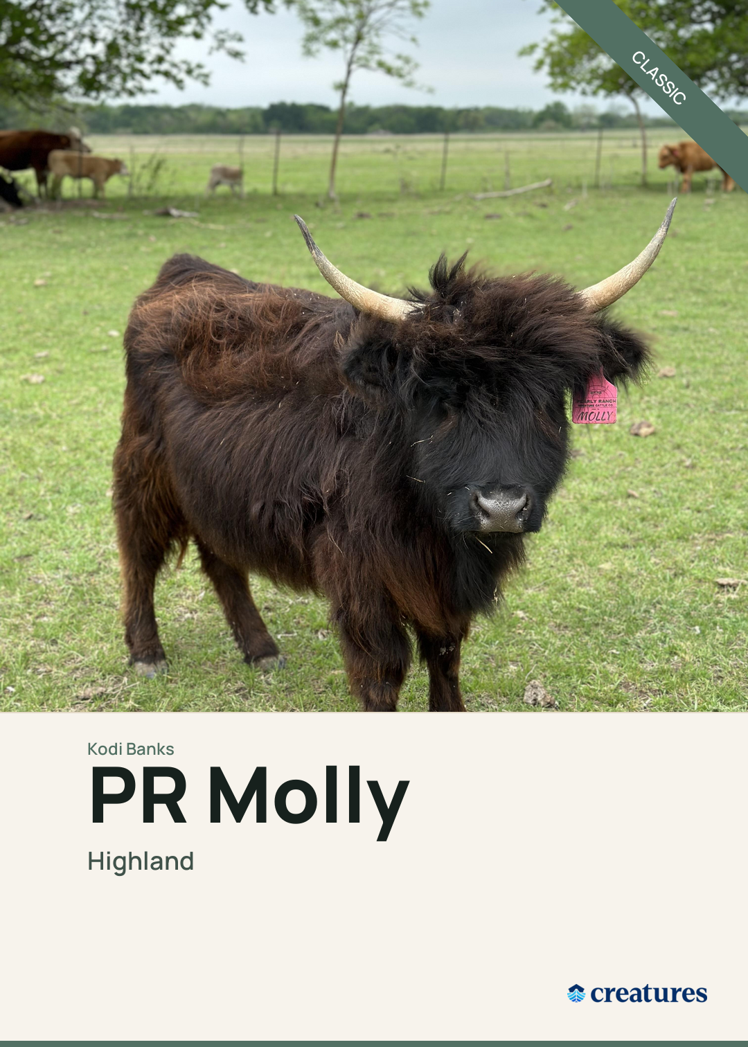 PR Molly Creature Card