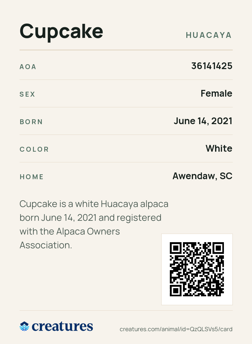 Cupcake Creature Card back