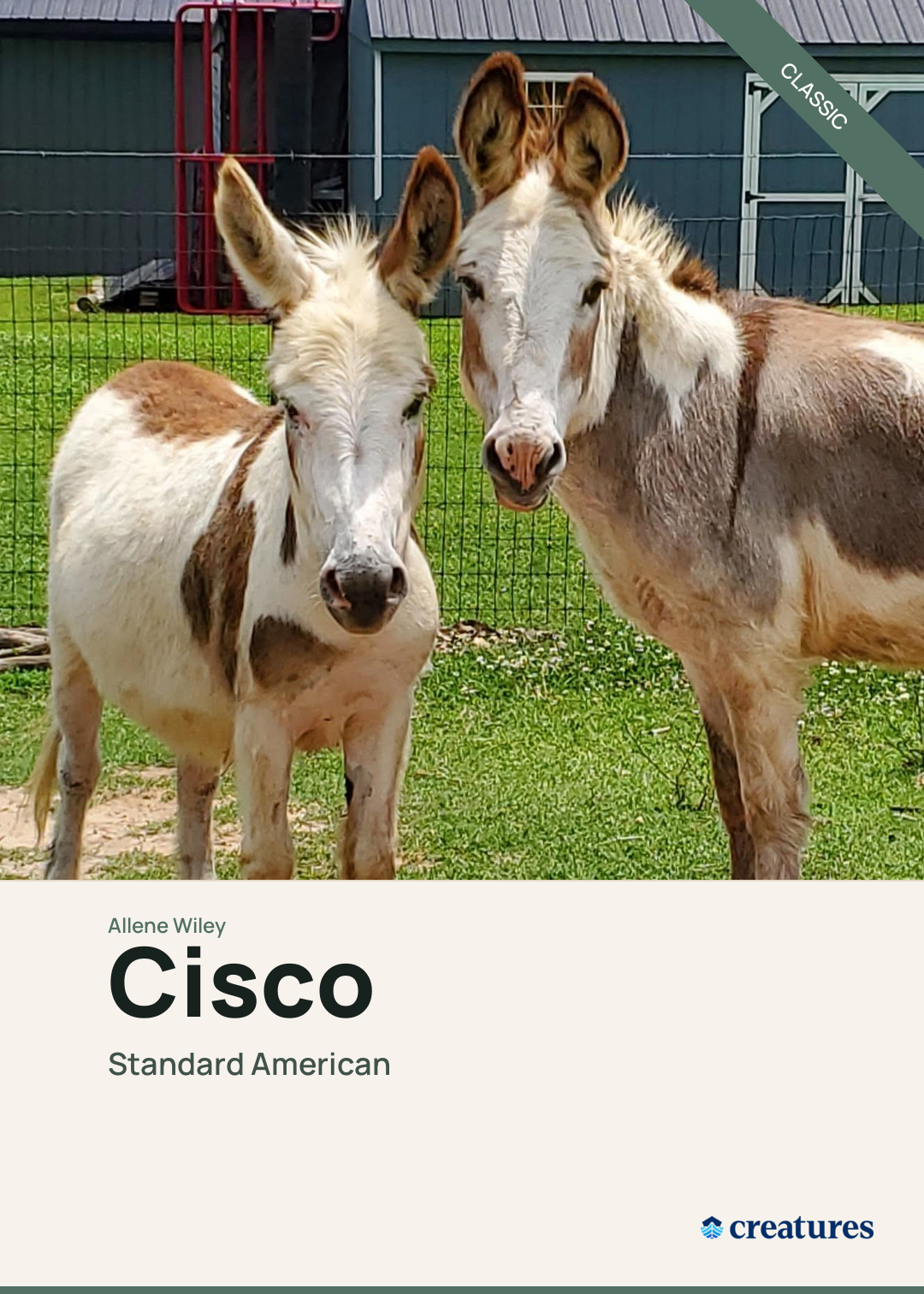 Cisco Creature Card