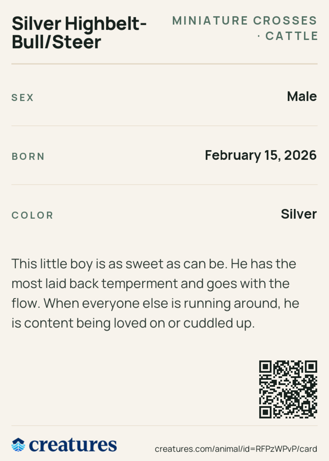 Silver Highbelt- Bull/Steer Creature Card back