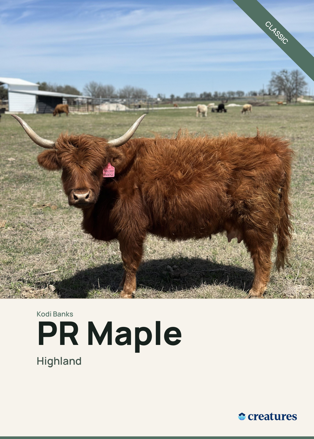PR Maple Creature Card