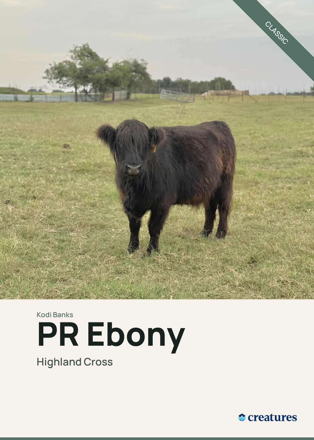 PR Ebony Creature Card