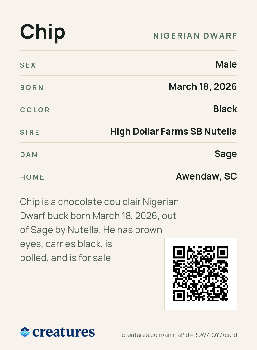 Chip Creature Card back