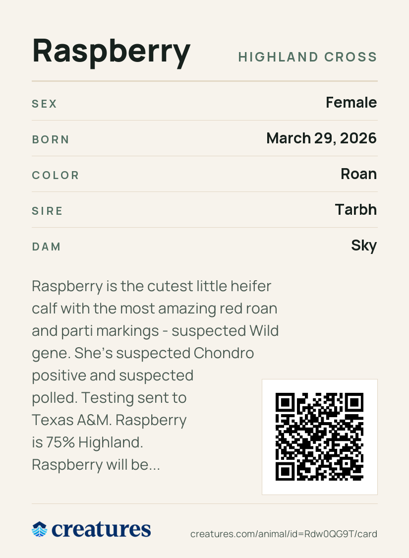 Raspberry Creature Card back