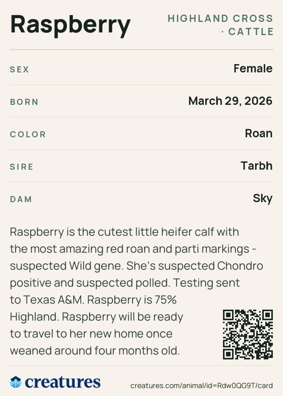 Raspberry Creature Card back