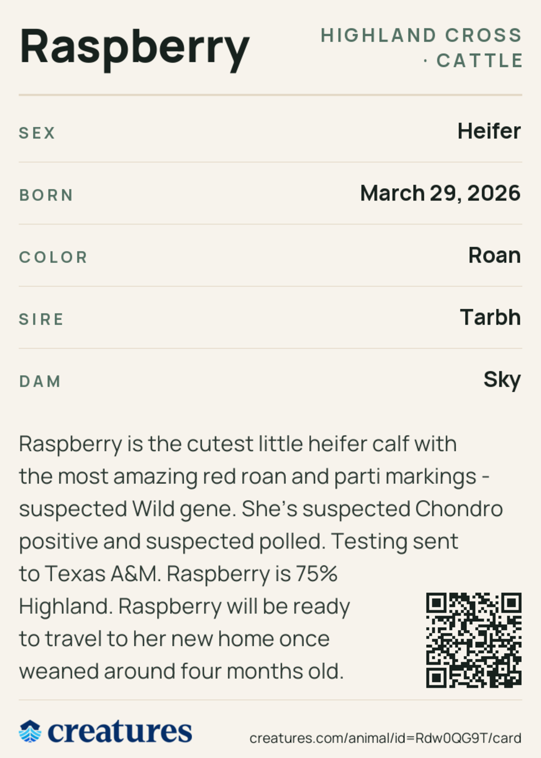 Raspberry Creature Card back