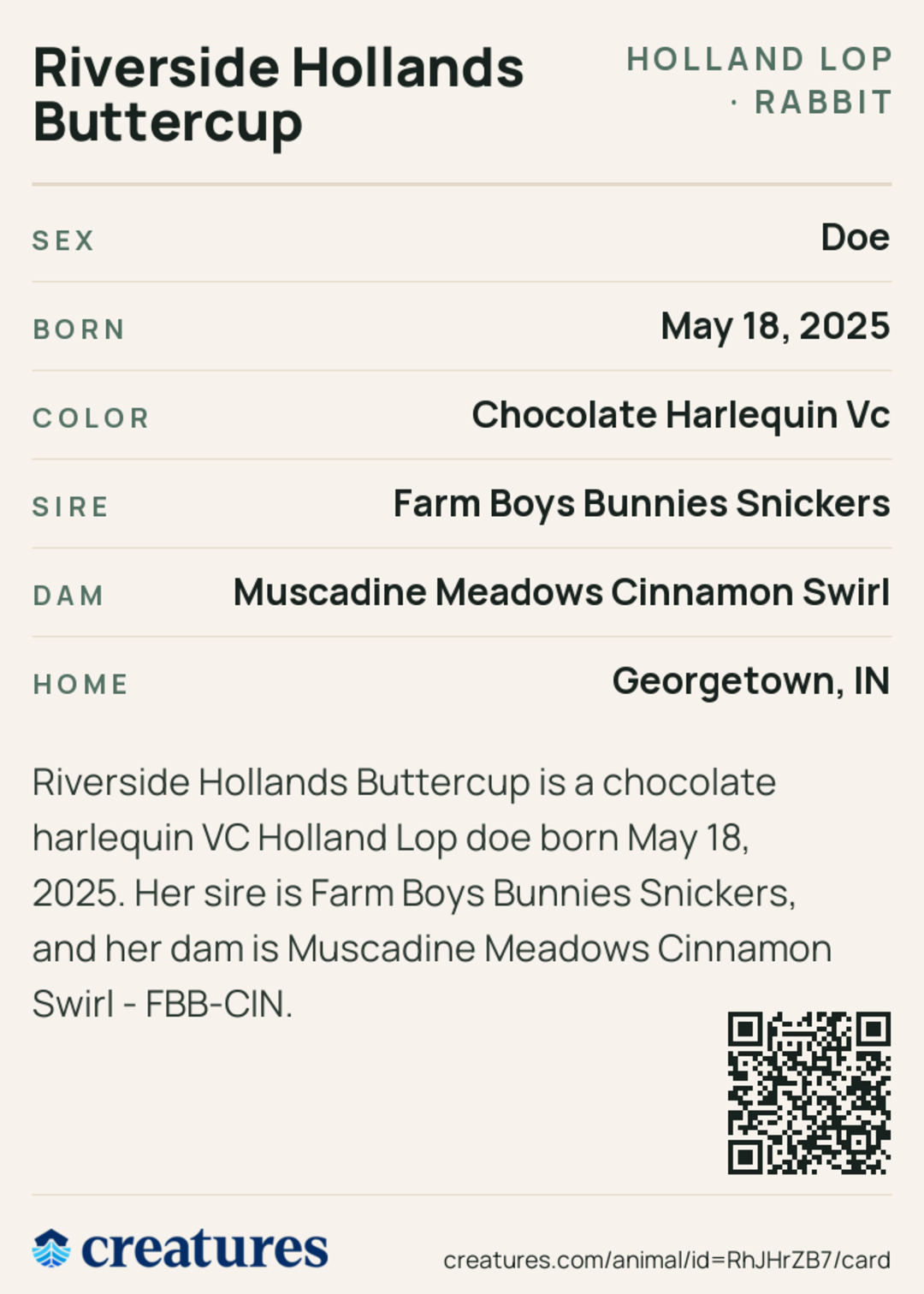 Riverside Hollands Buttercup Creature Card back
